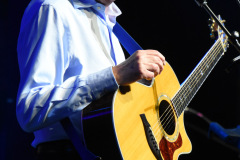 Al Stewart