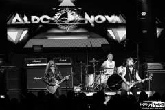 Aldo Nova