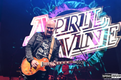 April Wine | August 24, 2025 | On The Blue Cruise
