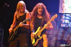 British Lion