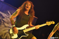 British Lion