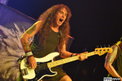 British Lion
