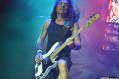 British Lion