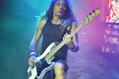 British Lion