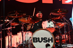 Bush | May 13, 2026