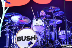 Bush | May 13, 2026