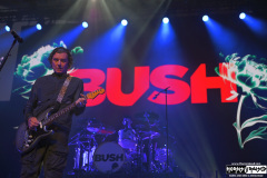 Bush | May 13, 2026