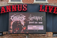 Carnifex