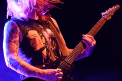 Carnifex