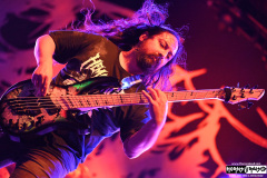 Carnifex