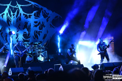 Carnifex