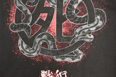 Iron_Maiden_Senjitsu_back