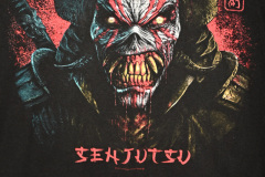 Iron_Maiden_Senjitsu_front