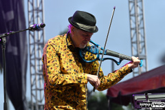 David Cross Band