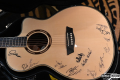 Guitar for the charity auction