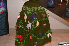 Cape Night