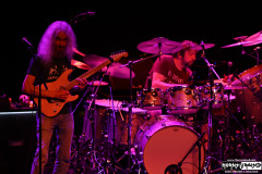 The Aristocrats