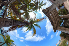 360 shot