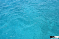 Beautiful water