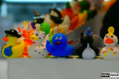 Ducks in the jewelry store onboad the ship