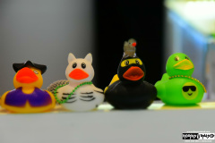 Ducks in the jewelry store onboad the ship