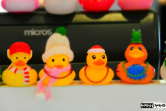 Ducks in the jewelry store onboad the ship