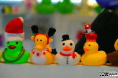 Ducks in the jewelry store onboad the ship