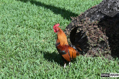 Cruise to the Edge | March 5, 2026