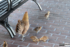 Cruise to the Edge | March 5, 2026