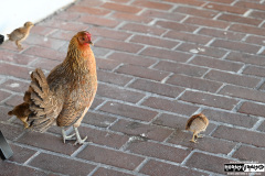 Cruise to the Edge | March 5, 2026