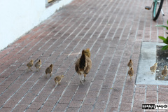 Cruise to the Edge | March 5, 2026