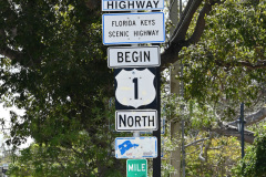 Cruise to the Edge | March 5, 2026