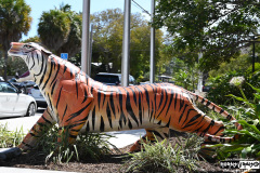 Cruise to the Edge | March 5, 2026