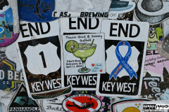 Cruise to the Edge | March 5, 2026