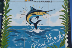 Cruise to the Edge | March 7, 2026