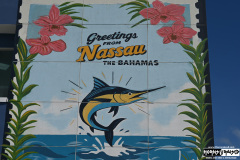 Cruise to the Edge | March 7, 2026