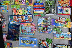 Cruise to the Edge | March 7, 2026