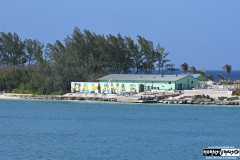 Cruise to the Edge | March 7, 2026