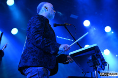 Steve Hackett | March 8, 2026