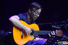 Al Di Meola