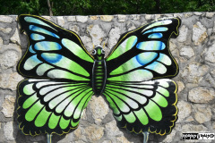 Butterfly art