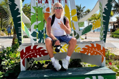 CMO in the big chair