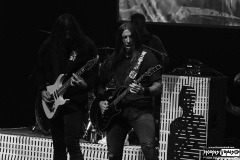 Dark Tranquility