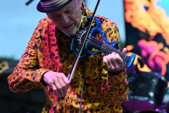 David Cross Band