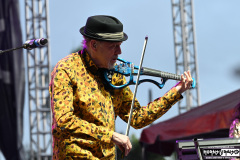David Cross Band
