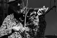 David Cross Band