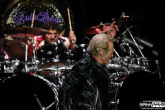 David Lee Roth