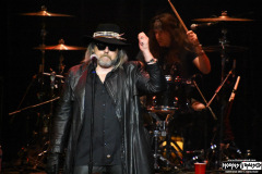Dokken