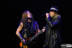 Dokken