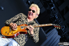 Don Felder